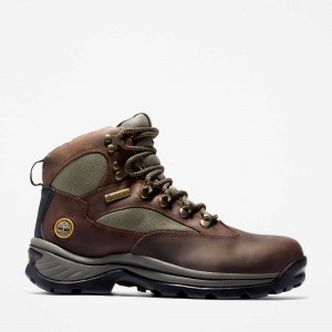 Timberland Chocorua Trail Mid Waterproof Maro Inchis Verzi | SN-TBL46390