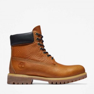 Timberland Premium 6 Inch Maro | SN-TBL45829